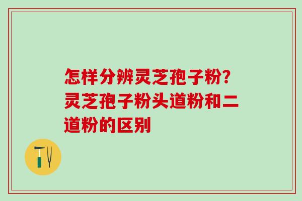 怎样分辨灵芝孢子粉?灵芝孢子粉头道粉和二道粉的区别 怎样分辨灵芝孢子粉?灵芝孢子粉头道粉和二道粉的区别