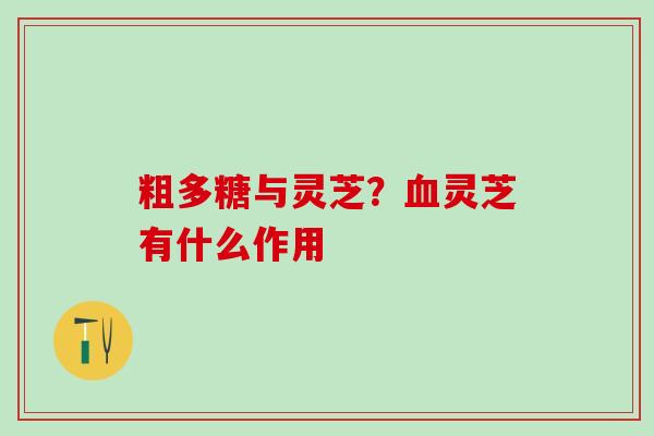 粗多糖与灵芝？血灵芝有什么作用
