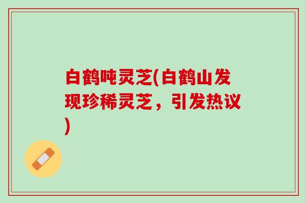 白鹤吨灵芝(白鹤山发现珍稀灵芝，引发热议)