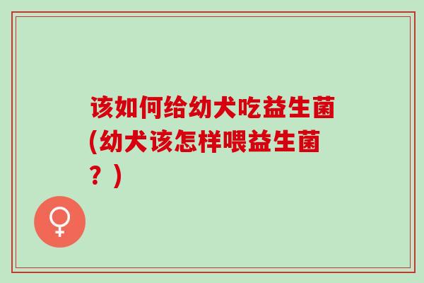 该如何给幼犬吃益生菌(幼犬该怎样喂益生菌？)