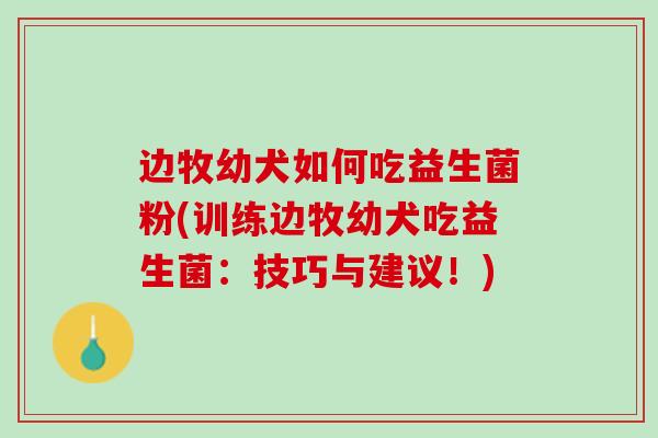 边牧幼犬如何吃益生菌粉(训练边牧幼犬吃益生菌：技巧与建议！)