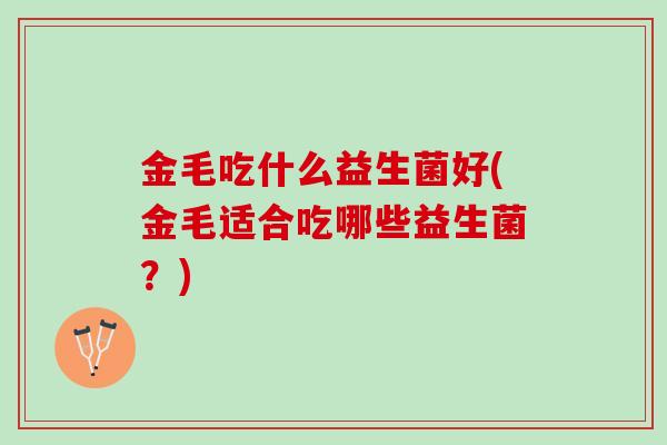 金毛吃什么益生菌好(金毛适合吃哪些益生菌？)