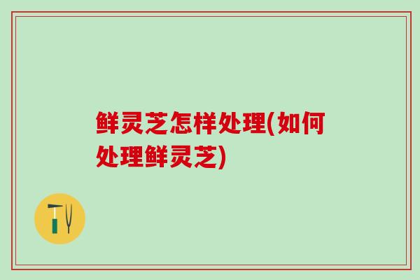 鲜灵芝怎样处理(如何处理鲜灵芝)