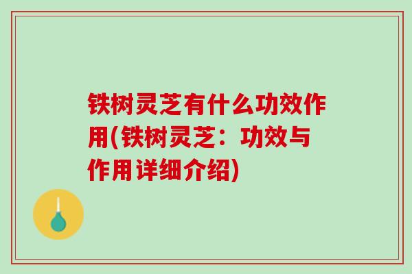 铁树灵芝有什么功效作用(铁树灵芝：功效与作用详细介绍)