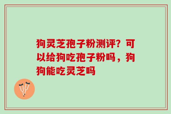 狗灵芝孢子粉测评？可以给狗吃孢子粉吗，狗狗能吃灵芝吗