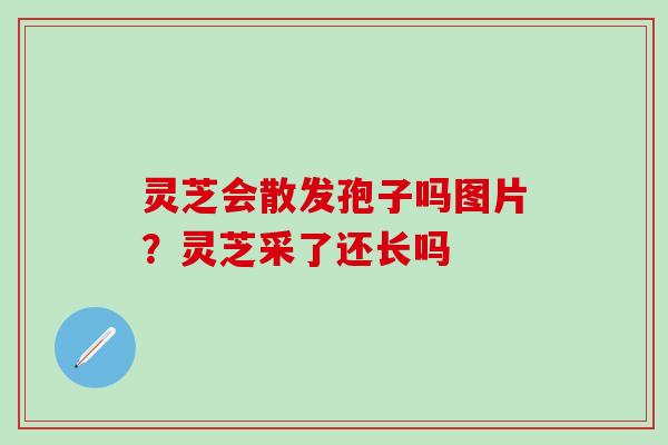 灵芝会散发孢子吗图片？灵芝采了还长吗