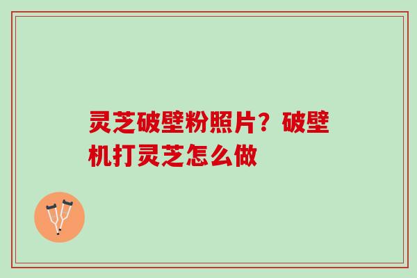 灵芝破壁粉照片？破壁机打灵芝怎么做