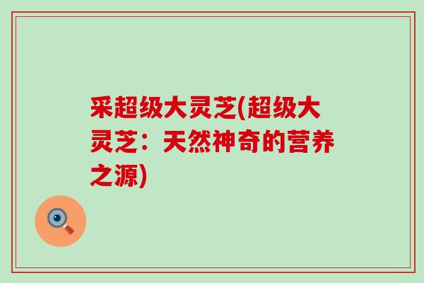 采超级大灵芝(超级大灵芝：天然神奇的营养之源)