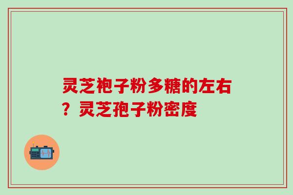 灵芝袍子粉多糖的左右？灵芝孢子粉密度