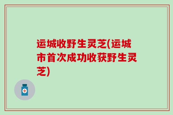 运城收野生灵芝(运城市首次成功收获野生灵芝)