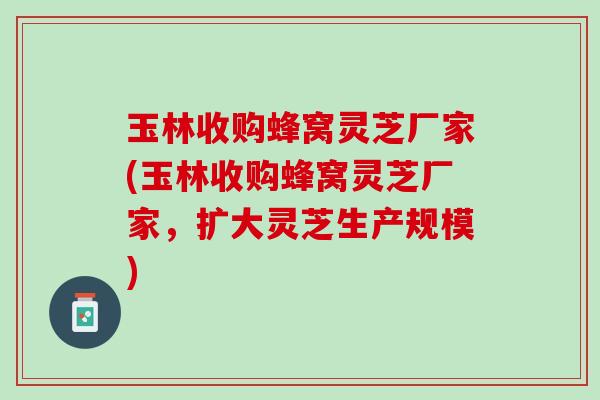 玉林收购蜂窝灵芝厂家(玉林收购蜂窝灵芝厂家，扩大灵芝生产规模)