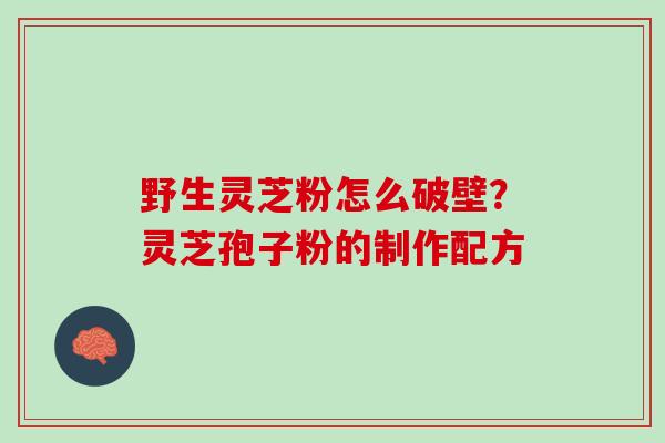 野生灵芝粉怎么破壁？灵芝孢子粉的制作配方