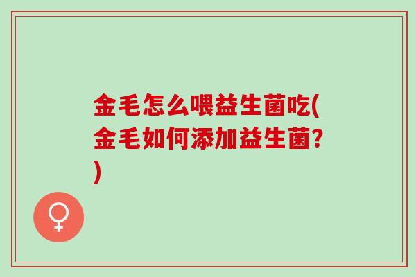 金毛怎么喂益生菌吃(金毛如何添加益生菌？)