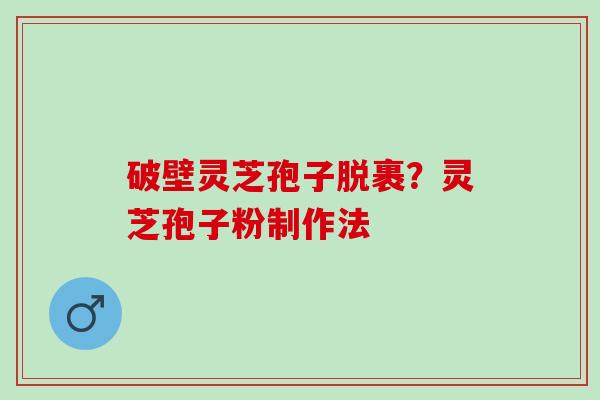破壁灵芝孢子脱裹？灵芝孢子粉制作法