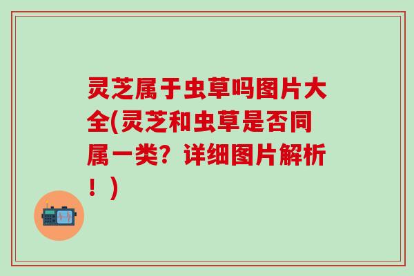灵芝属于虫草吗图片大全(灵芝和虫草是否同属一类？详细图片解析！)