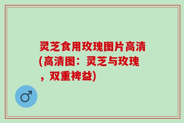 灵芝食用玫瑰图片高清(高清图：灵芝与玫瑰，双重裨益)