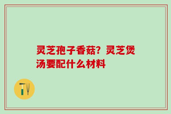 灵芝孢子香菇？灵芝煲汤要配什么材料