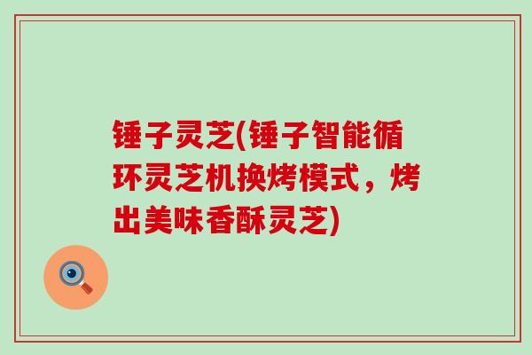 锤子灵芝(锤子智能循环灵芝机换烤模式，烤出美味香酥灵芝)