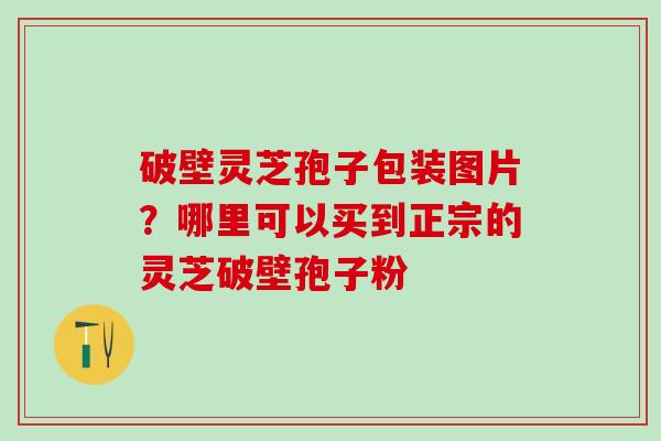 破壁灵芝孢子包装图片？哪里可以买到正宗的灵芝破壁孢子粉