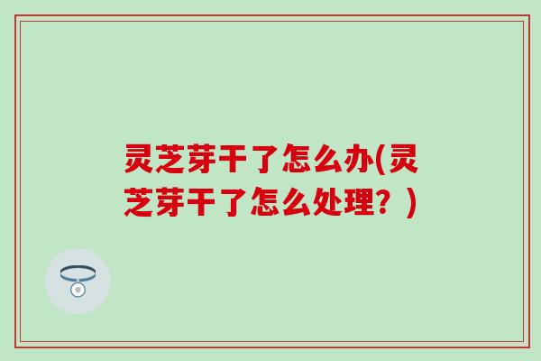 灵芝芽干了怎么办(灵芝芽干了怎么处理？)