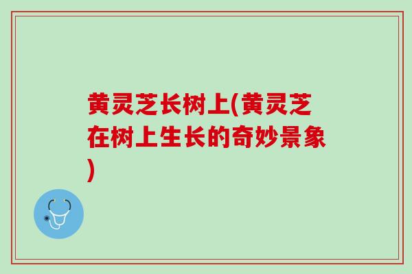 黄灵芝长树上(黄灵芝在树上生长的奇妙景象)