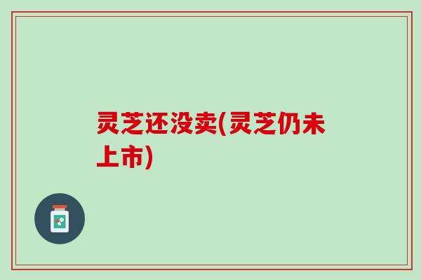 灵芝还没卖(灵芝仍未上市)