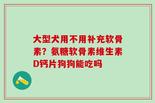 大型犬用不用补充软骨素？氨糖软骨素维生素D钙片狗狗能吃吗