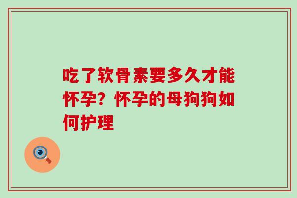 吃了软骨素要多久才能怀孕？怀孕的母狗狗如何护理