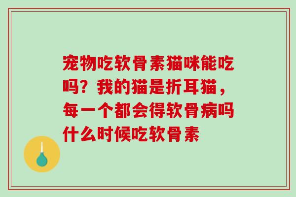 宠物吃软骨素猫咪能吃吗？我的猫是折耳猫，每一个都会得软骨病吗什么时候吃软骨素