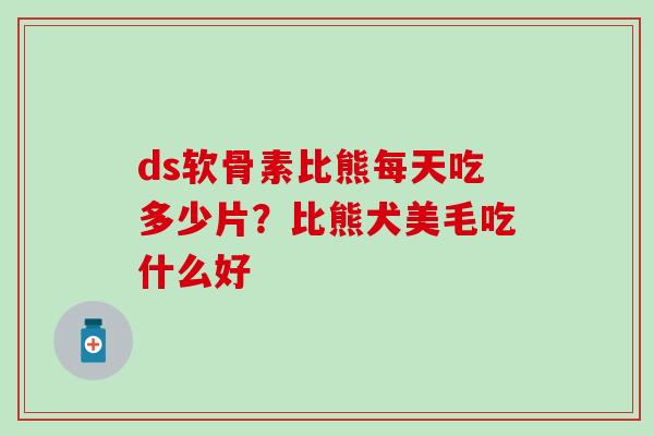 ds软骨素比熊每天吃多少片？比熊犬美毛吃什么好