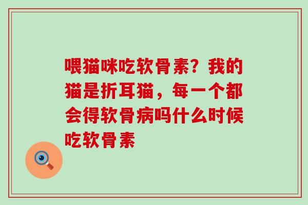 喂猫咪吃软骨素？我的猫是折耳猫，每一个都会得软骨病吗什么时候吃软骨素