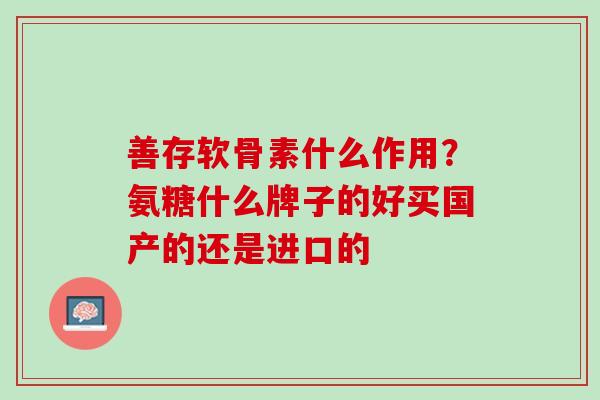 善存软骨素什么作用？氨糖什么牌子的好买国产的还是进口的