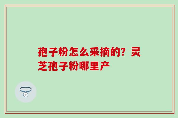孢子粉怎么采摘的?灵芝孢子粉哪里产 孢子粉怎么采摘的?灵芝孢子粉哪里产