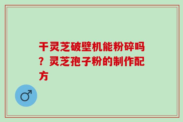 干灵芝破壁机能粉碎吗？灵芝孢子粉的制作配方