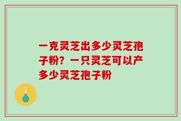 一克灵芝出多少灵芝孢子粉？一只灵芝可以产多少灵芝孢子粉