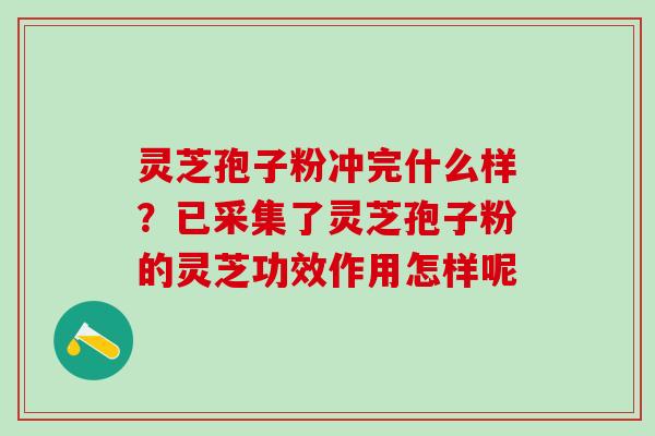 灵芝孢子粉冲完什么样？已采集了灵芝孢子粉的灵芝功效作用怎样呢