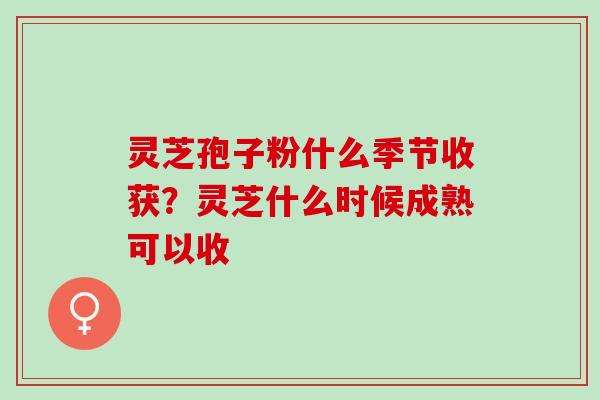 灵芝孢子粉什么季节收获？灵芝什么时候成熟可以收