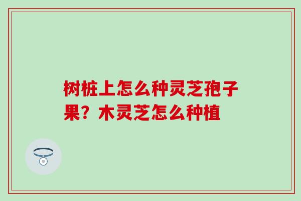 树桩上怎么种灵芝孢子果？木灵芝怎么种植