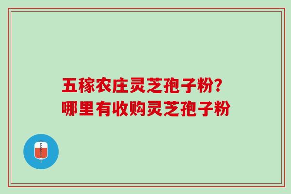 五稼农庄灵芝孢子粉？哪里有收购灵芝孢子粉
