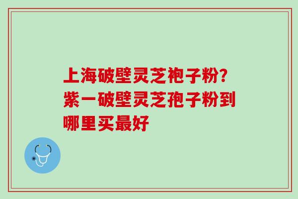 上海破壁灵芝袍子粉？紫一破壁灵芝孢子粉到哪里买最好