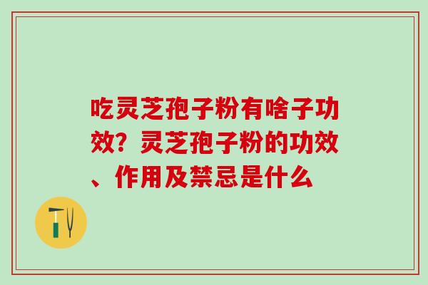 吃灵芝孢子粉有啥子功效？灵芝孢子粉的功效、作用及禁忌是什么