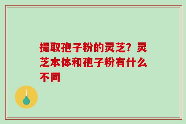 提取孢子粉的灵芝？灵芝本体和孢子粉有什么不同
