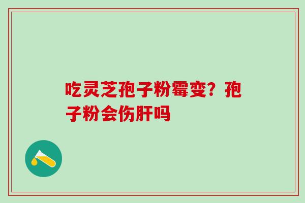 吃灵芝孢子粉霉变？孢子粉会伤肝吗