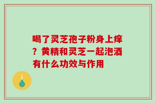 喝了灵芝孢子粉身上痒？黄精和灵芝一起泡酒有什么功效与作用