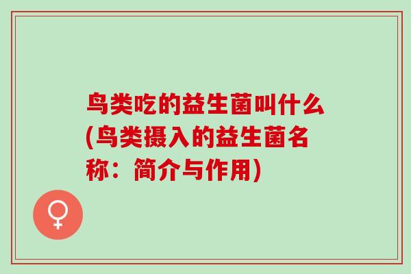 鸟类吃的益生菌叫什么(鸟类摄入的益生菌名称：简介与作用)