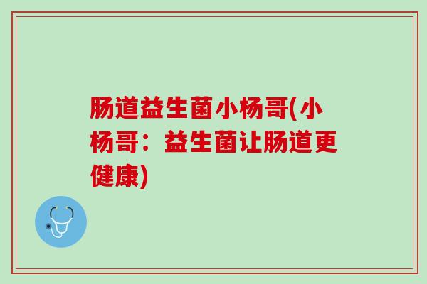 肠道益生菌小杨哥(小杨哥：益生菌让肠道更健康)