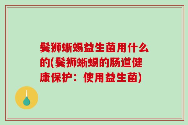 鬓狮蜥蜴益生菌用什么的(鬓狮蜥蜴的肠道健康保护：使用益生菌)