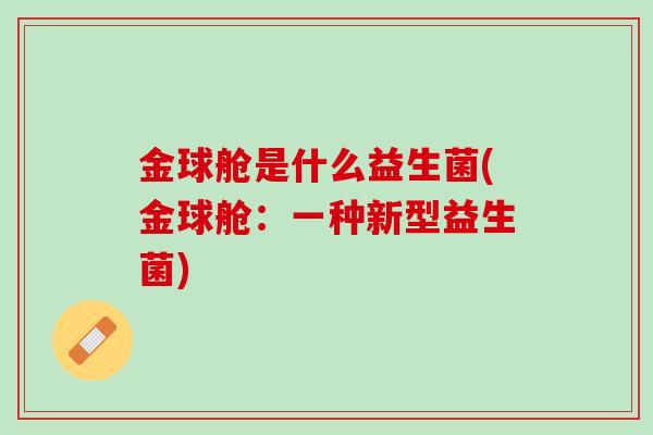 金球舱是什么益生菌(金球舱：一种新型益生菌)