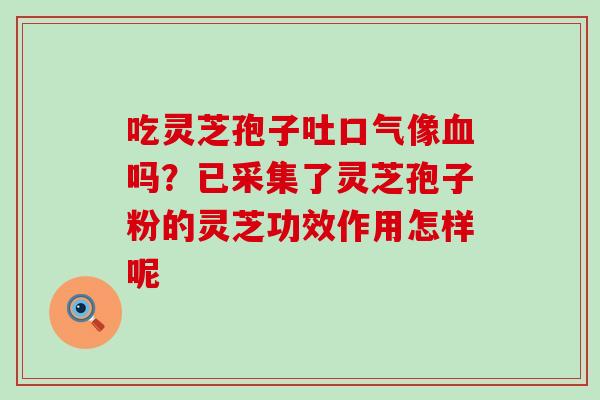 吃灵芝孢子吐口气像吗?已采集了灵芝孢子粉的灵芝功效作用怎样呢 吃灵芝孢子吐口气像吗?已采集了灵芝孢子粉的灵芝功效作用怎样呢