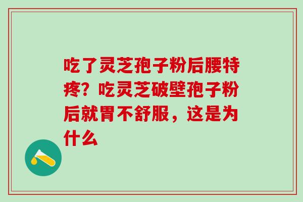 吃了灵芝孢子粉后腰特疼？吃灵芝破壁孢子粉后就胃不舒服，这是为什么